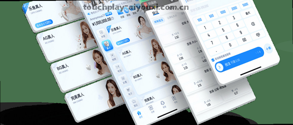 隐私政策与用户权益说明